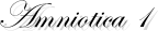 Amniotica 1