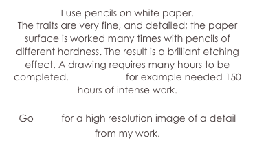 I use pencils on white paper.
The traits are very fine, and detailed; the paper surface is worked many times with pencils of different hardness. The result is a brilliant etching effect. A drawing requires many hours to be completed. Lo sguardo for example needed 150 hours of intense work.

Go here for a high resolution image of a detail from my work.